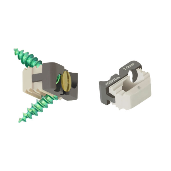 PEEK CERVICS SPACER WITH SCREW